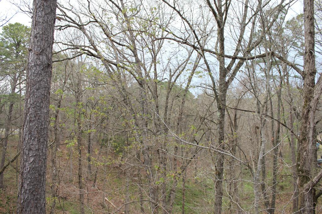 Brydan Suites Eureka Springs Εξωτερικό φωτογραφία